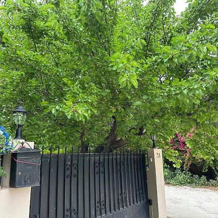 Artemis Apartment,Beach Two-Bedroom المظهر الخارجي الصورة